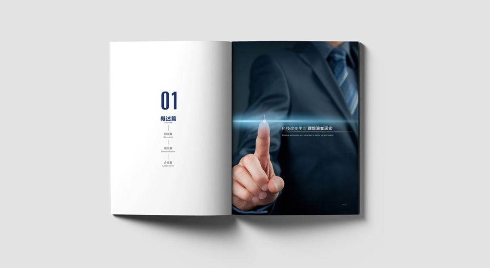 1613731608132451.jpg 案例祥情2.jpg