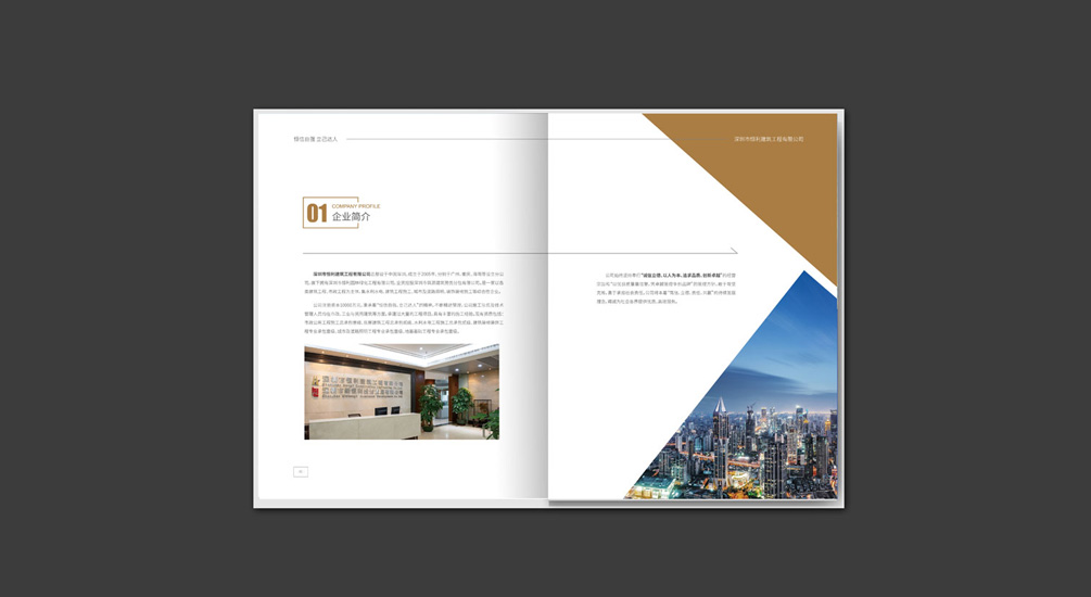 1613735365805425.jpg 案例祥情2.jpg